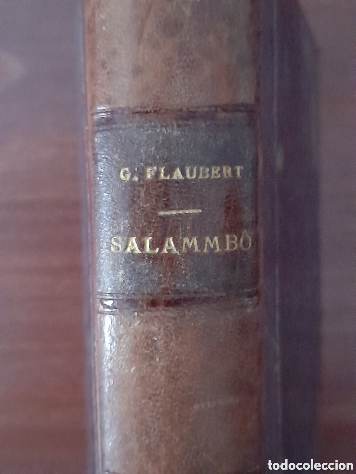 Libros de segunda mano: Libro antiguo Salambo, de 1905 - Foto 2