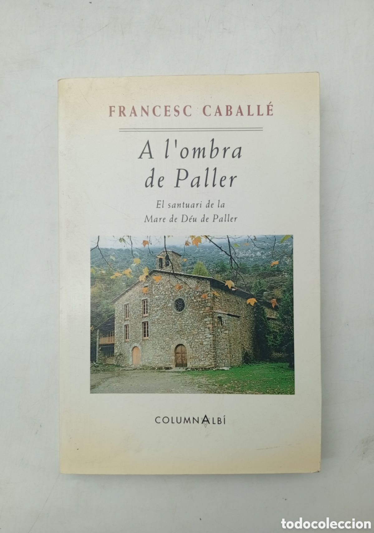 Second hand books: A l'ombra del paller Santuari de la mare de d&eacute;u del Paller de Bag&agrave;