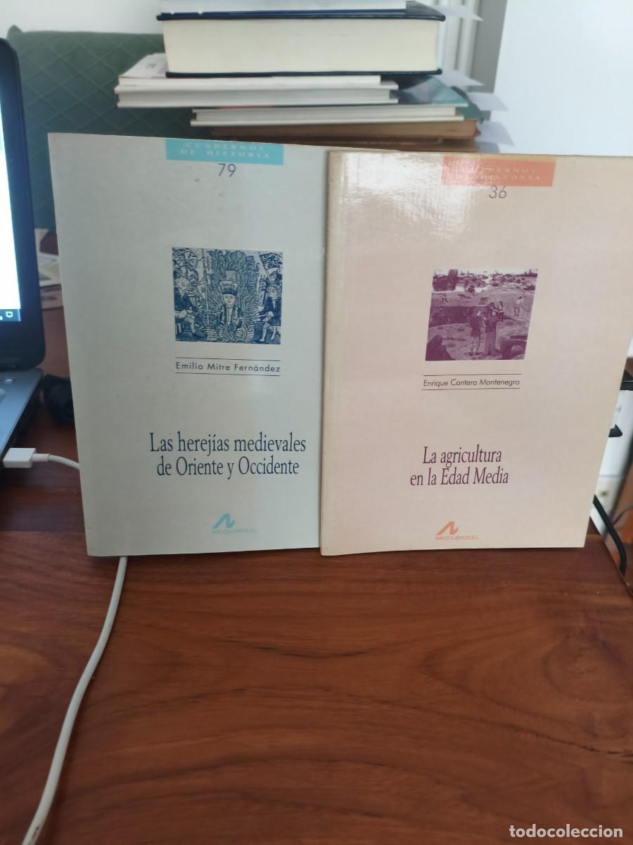 Libros de segunda mano: Agricultura en la Edad media. Herejias medievales oriente occidente. Cuadernos de historia.