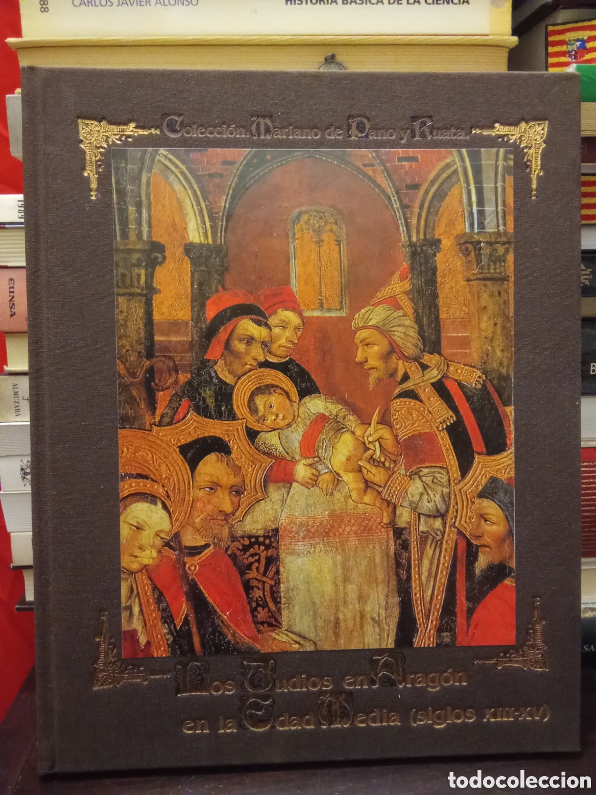 Libros de segunda mano: Los Jud&iacute;os en Arag&oacute;n en la Edad Media siglos XIII - XV - Colecci&oacute;n Mar&iacute;ano de Pano y Ruata