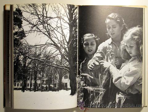 Libros de segunda mano: DO&Ntilde;A SOFIA - HERRERA, Jos&eacute; Luis - C&iacute;rculo de Lectores 1984 - Ilustrado - Foto 2
