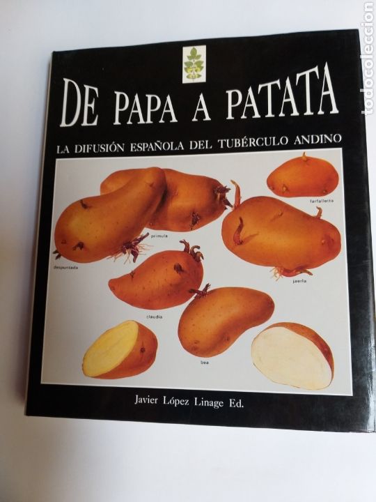 Libri di seconda mano: De Papa a patata . La difusi&oacute;n espa&ntilde;ola del tub&eacute;rculo andino. Javier L&oacute;pez linaj