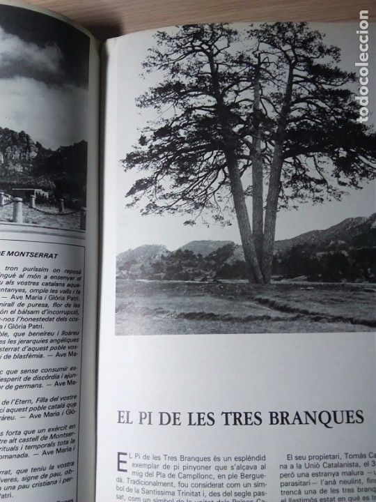 Libros de segunda mano: LA NAIXEN&Ccedil;A DE CATALUNYA. Nadala 1978 - Foto 4