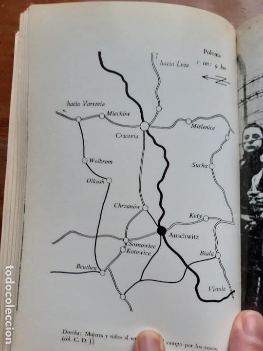 Libros de segunda mano: Auschwitz Leon Poliakov - Foto 9
