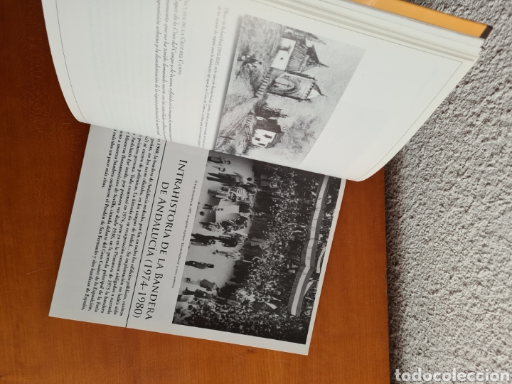 Libros de segunda mano: Sevilla en Sepia - Nicol&aacute;s Salas - Foto 38