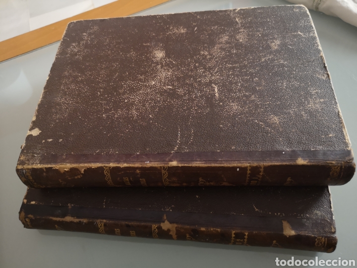 Libros de segunda mano: Las razas humanas 1888 2 tomos - Foto 1