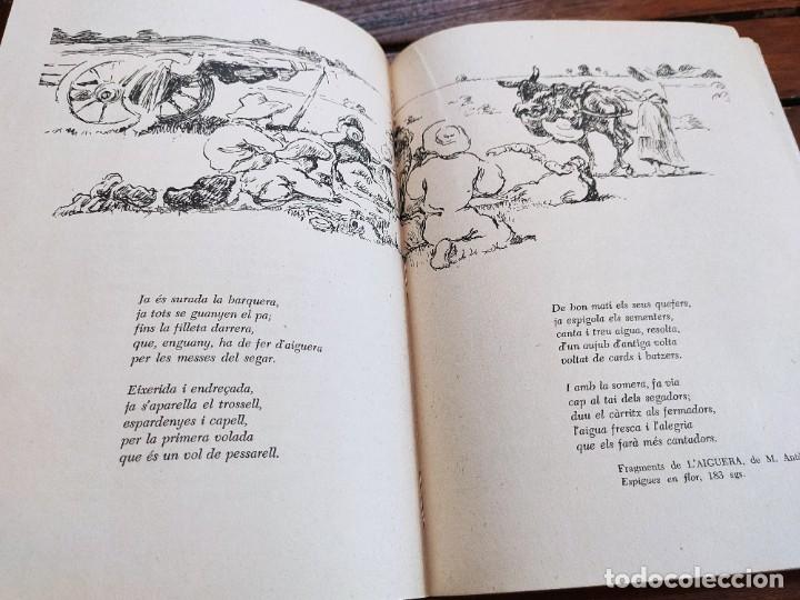 Libros de segunda mano: FOLKLORE DE LLUCMAJOR. BALTASAR COLL TOM&Aacute;S. MALLORCA, 1971. - Foto 4