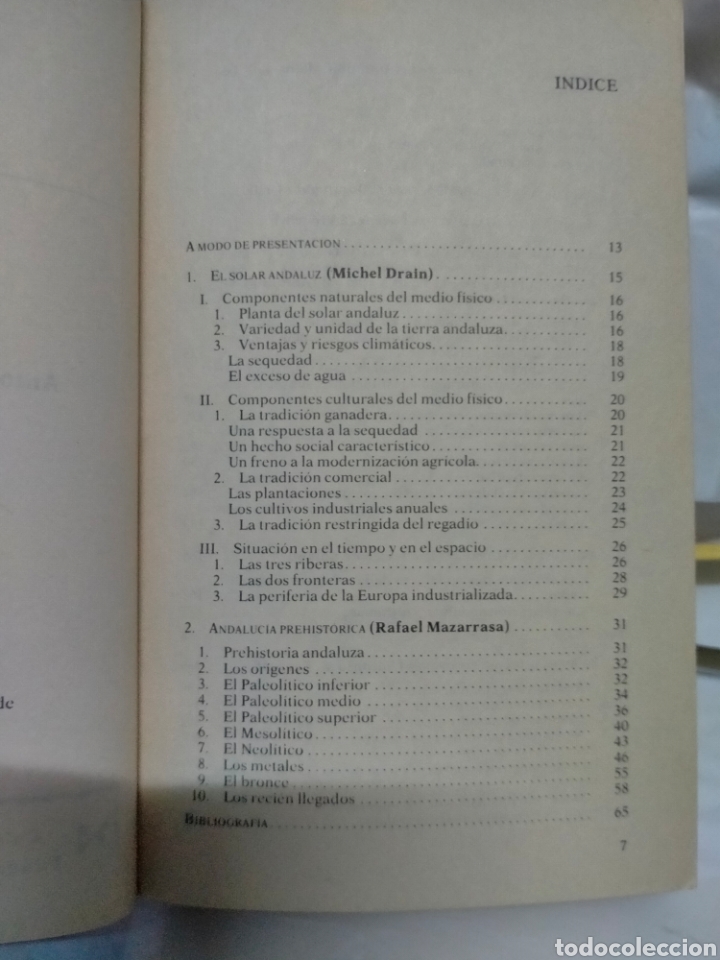 Libros de segunda mano: VARIOS AUTORES. LOS ANDALUCES .EDICIONES ISTMO - Foto 3