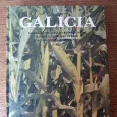 Libros de segunda mano: GALICIA. Lote 271073083