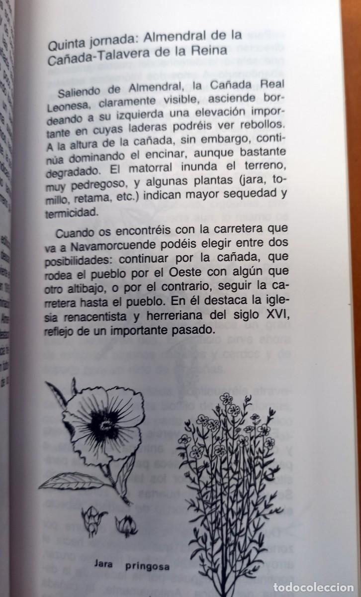 Libros de segunda mano: LA CA&Ntilde;ADA LEONESA - ITINERARIOS A PIE - - Foto 8