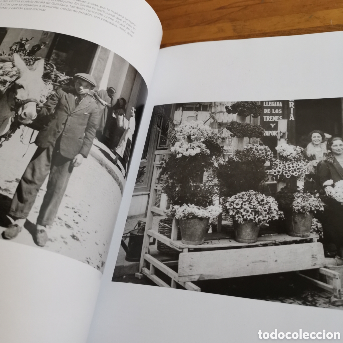 Libros de segunda mano: Libro Del Campo a la ciudad. Ed. El Pa&iacute;s 2006 - Foto 14