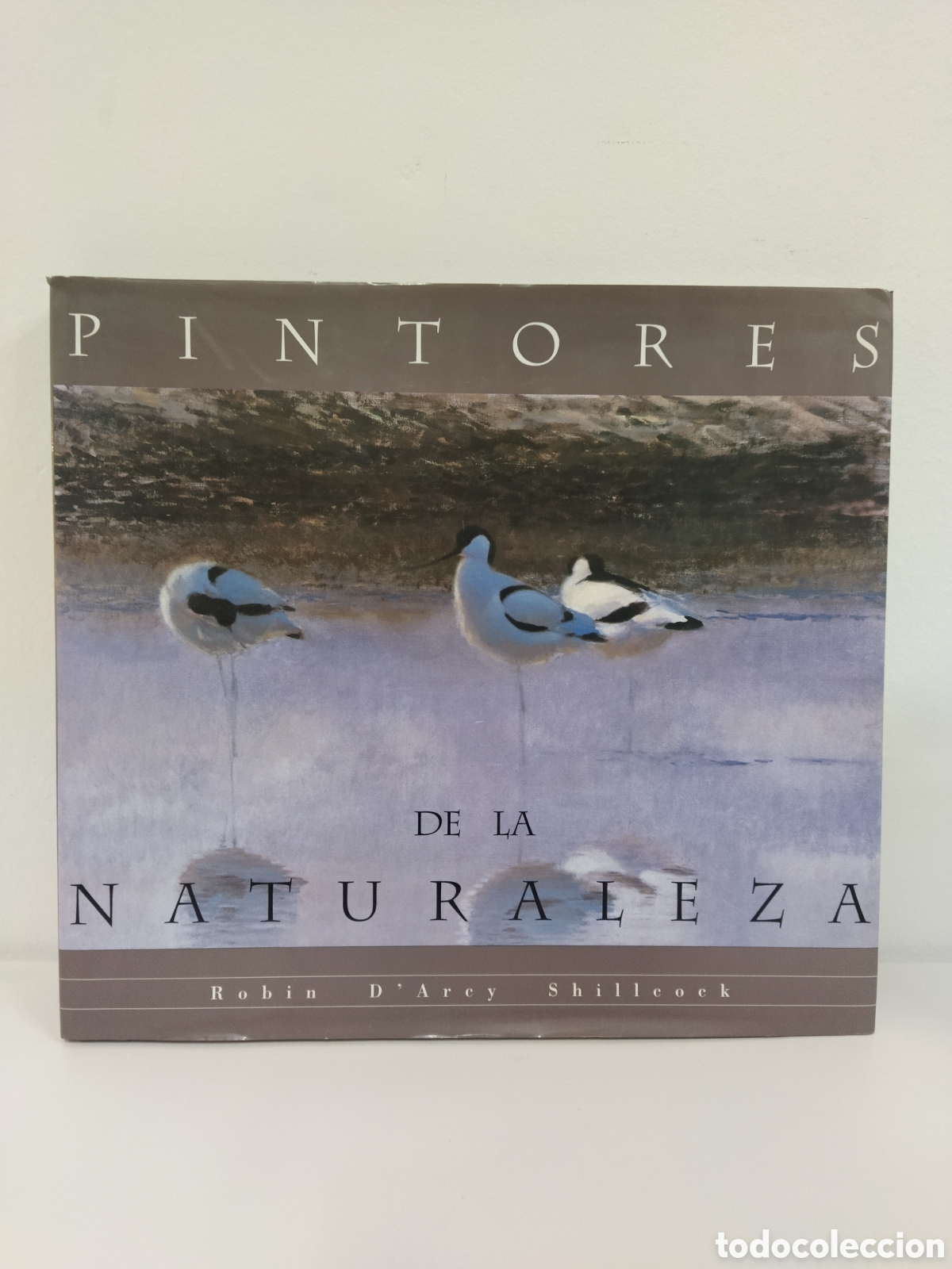 Libros de segunda mano: Libro Medio de Transporte El Pais Altea - Foto 5