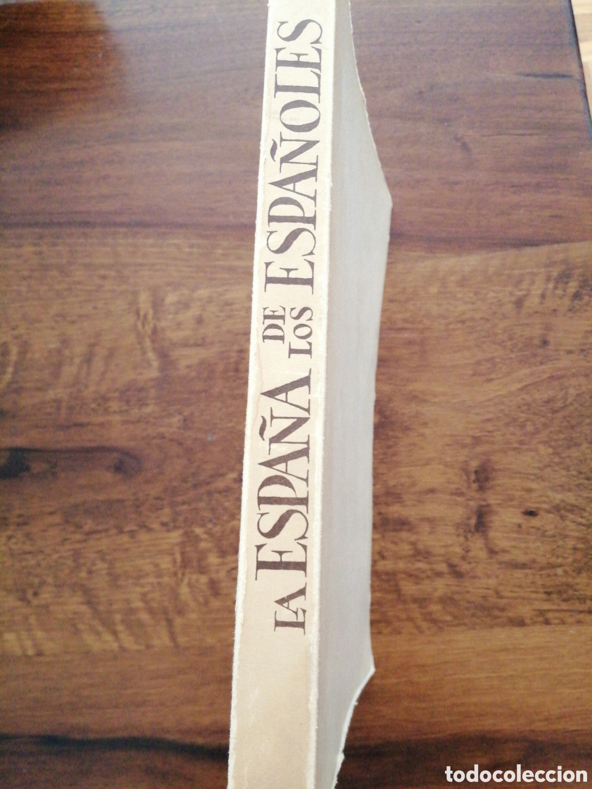 Libros de segunda mano: LIBRO LA ESPA&Ntilde;A DE LOS ESPA&Ntilde;OLES - Foto 1