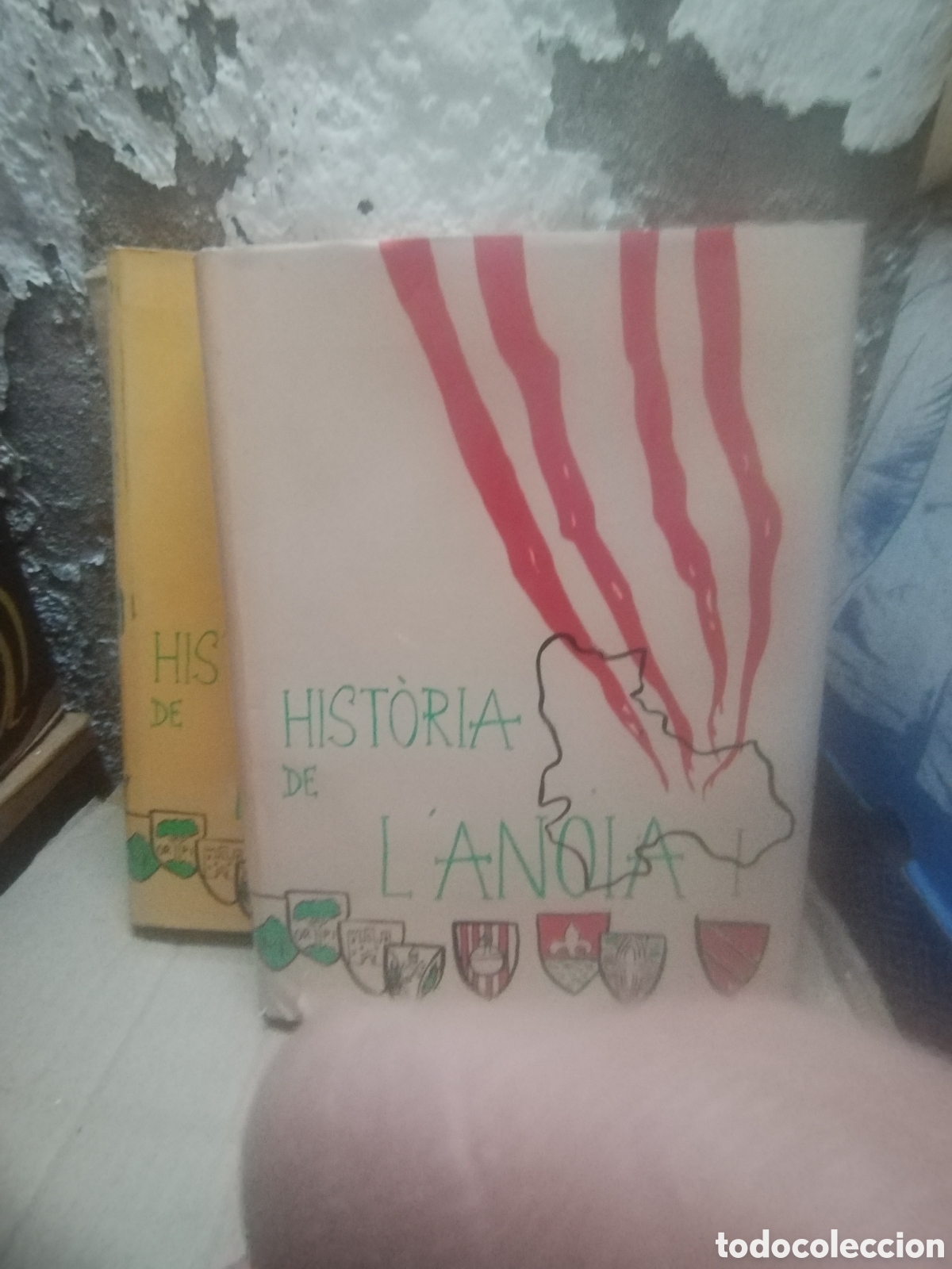 Second hand books: HISTORIA DE L'ANOIA any 1988