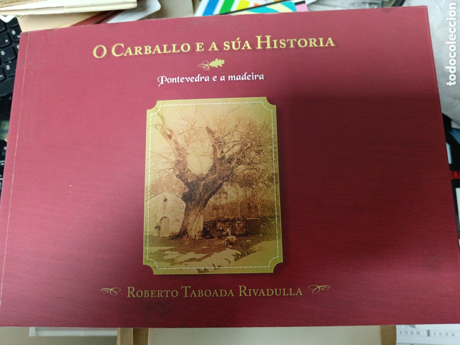 Libros de segunda mano: O CARBALLO E A SUA HISTORIA. Roberto Taboada Rivadulla. En Galego. - Foto 1