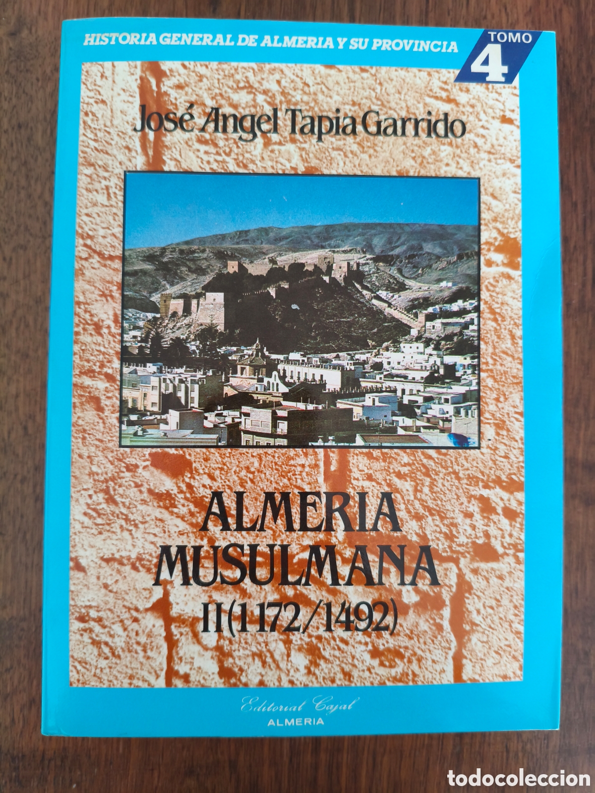 Libros de segunda mano: ALMERIA MUSULMANA TOMO 4 JOSE ANGEL TAPIA GARRIDO. ED. CAJAL, 1986