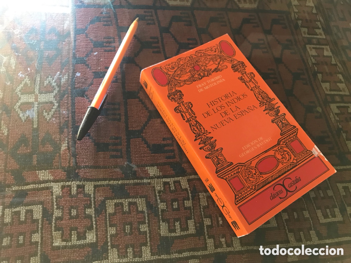 Libros de segunda mano: Historia de los indios de la nueva Espa&ntilde;a. Fray Toribio de Motolin&iacute;a. Cl&aacute;sicos Castalia n&ordm; 144