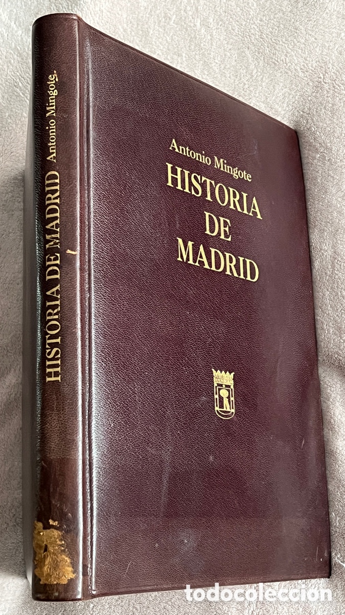 Livres d'occasion: HISTORIA MADRID MINGOTE 1&ordf; EDICION 1992 LUJO FIRMADO DEDICADO