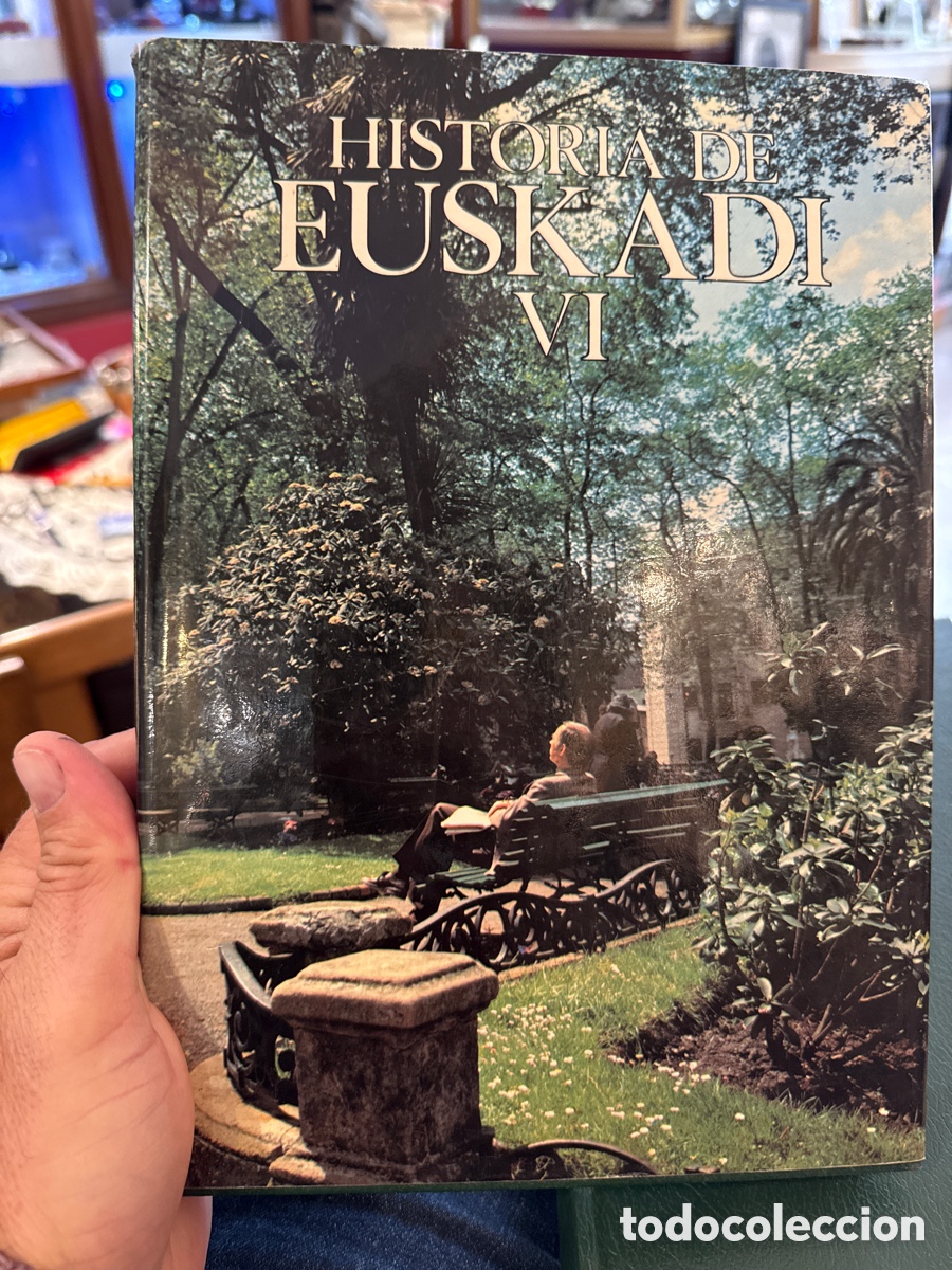 Libros de segunda mano: Dos tomos de Historia de Euskadi