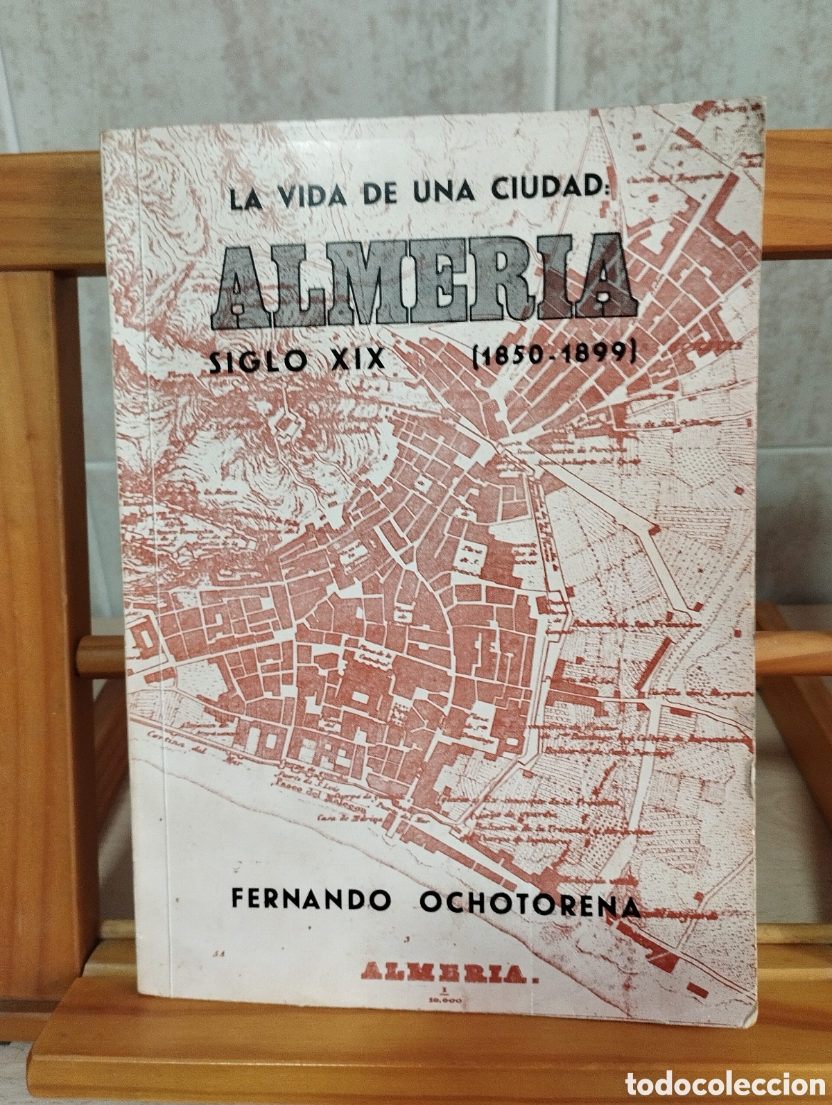 Libros de segunda mano: LIBRO LA VIDA DE UNA CIUDAD ALMER&Iacute;A SIGLOXIX 1850-1899