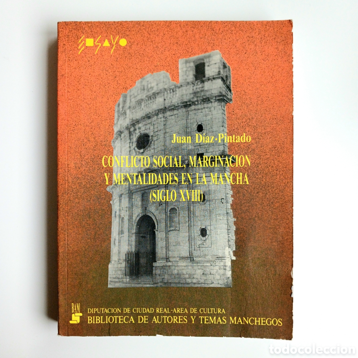 Libros de segunda mano: Conflicto social, marginaci&oacute;n y mentalidades en La Mancha siglo XVIII
