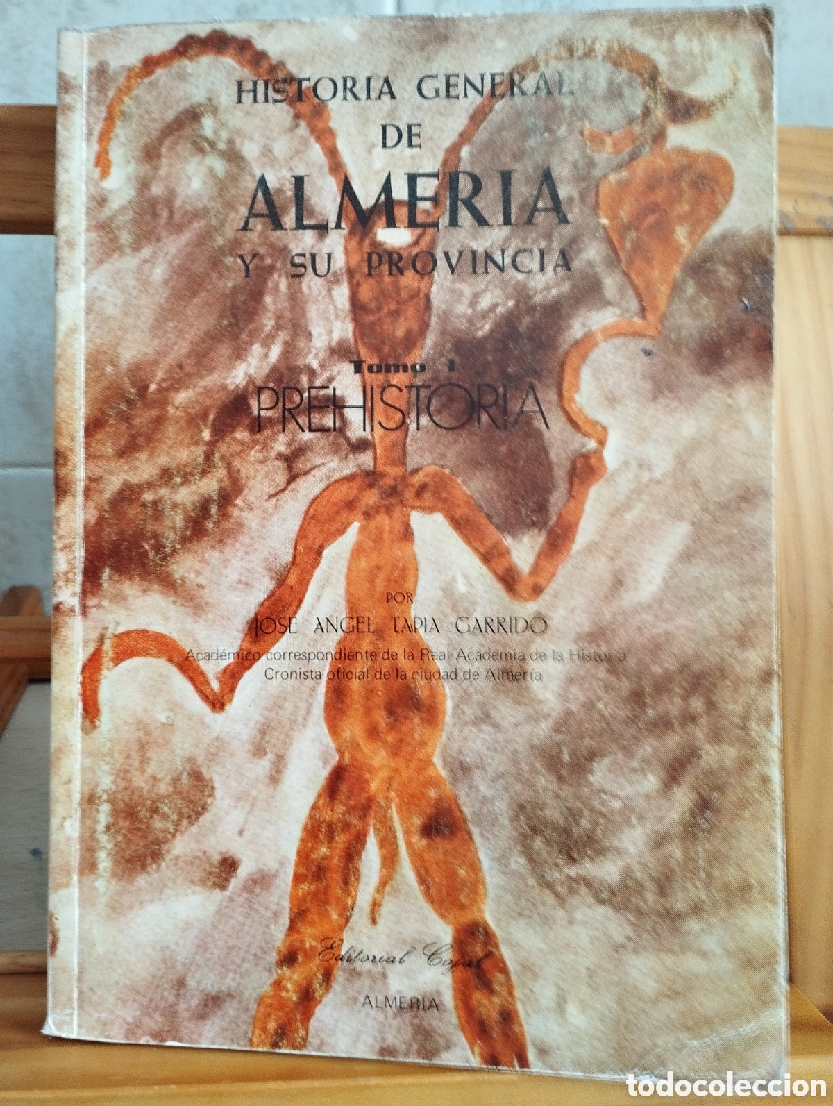 Libros de segunda mano: LIBRO HISTORIA GENERAL DE ALMER&Iacute;A Y SU PROVINCIA.J.A. TAPIA GARRIDO