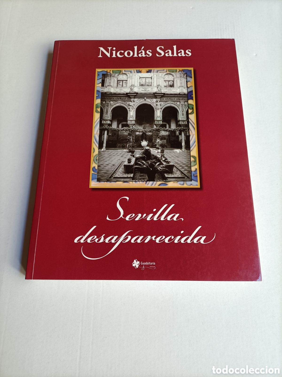 Libros de segunda mano: Sevilla desaparecida. &aacute;lbum de la destrucci&oacute;n de la ciudad. Siglos XIX y XX Nicol&aacute;s salas