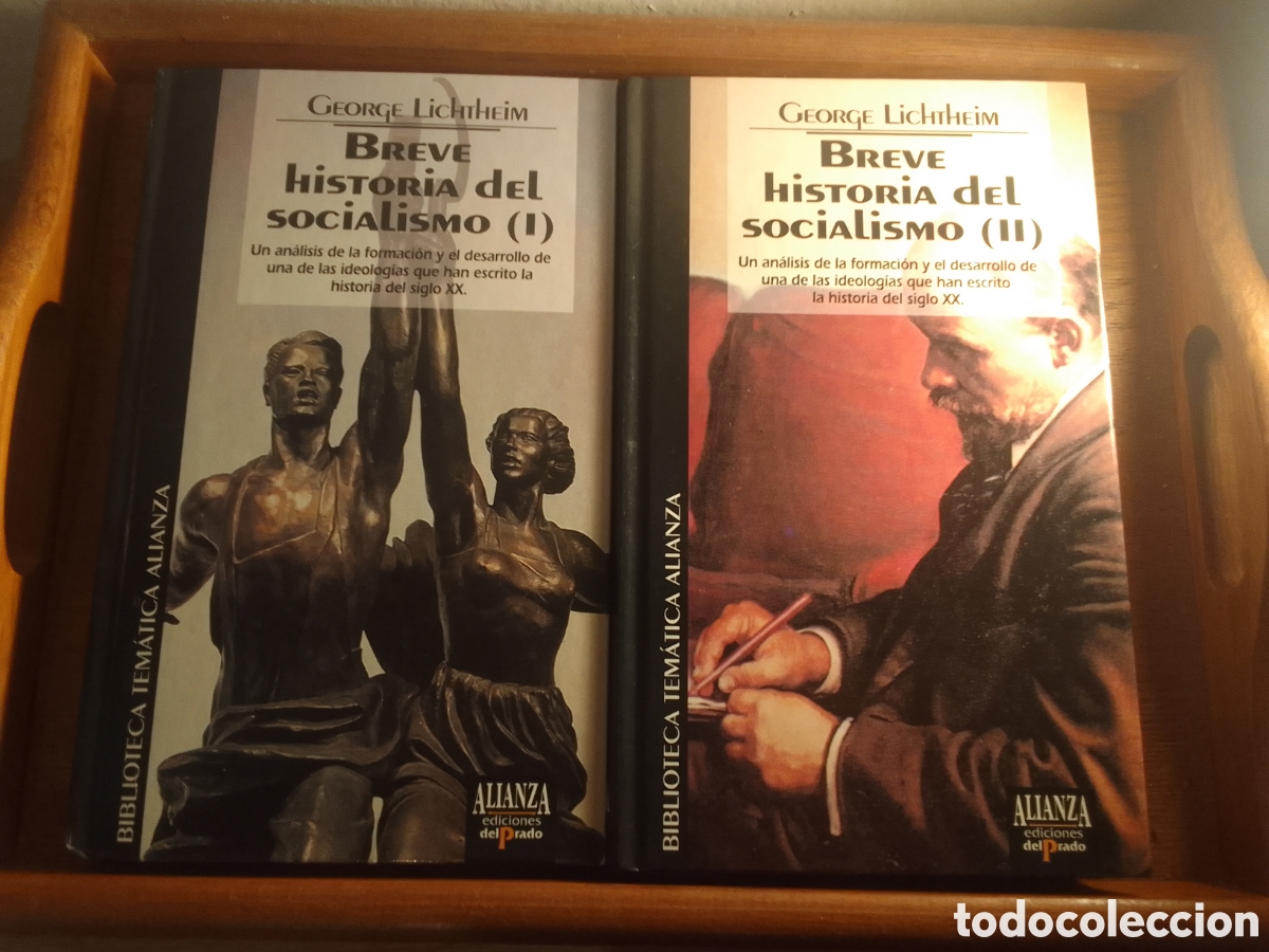Libros de segunda mano: Breve Historia del Socialismo Tomo I y II George Lichtheim