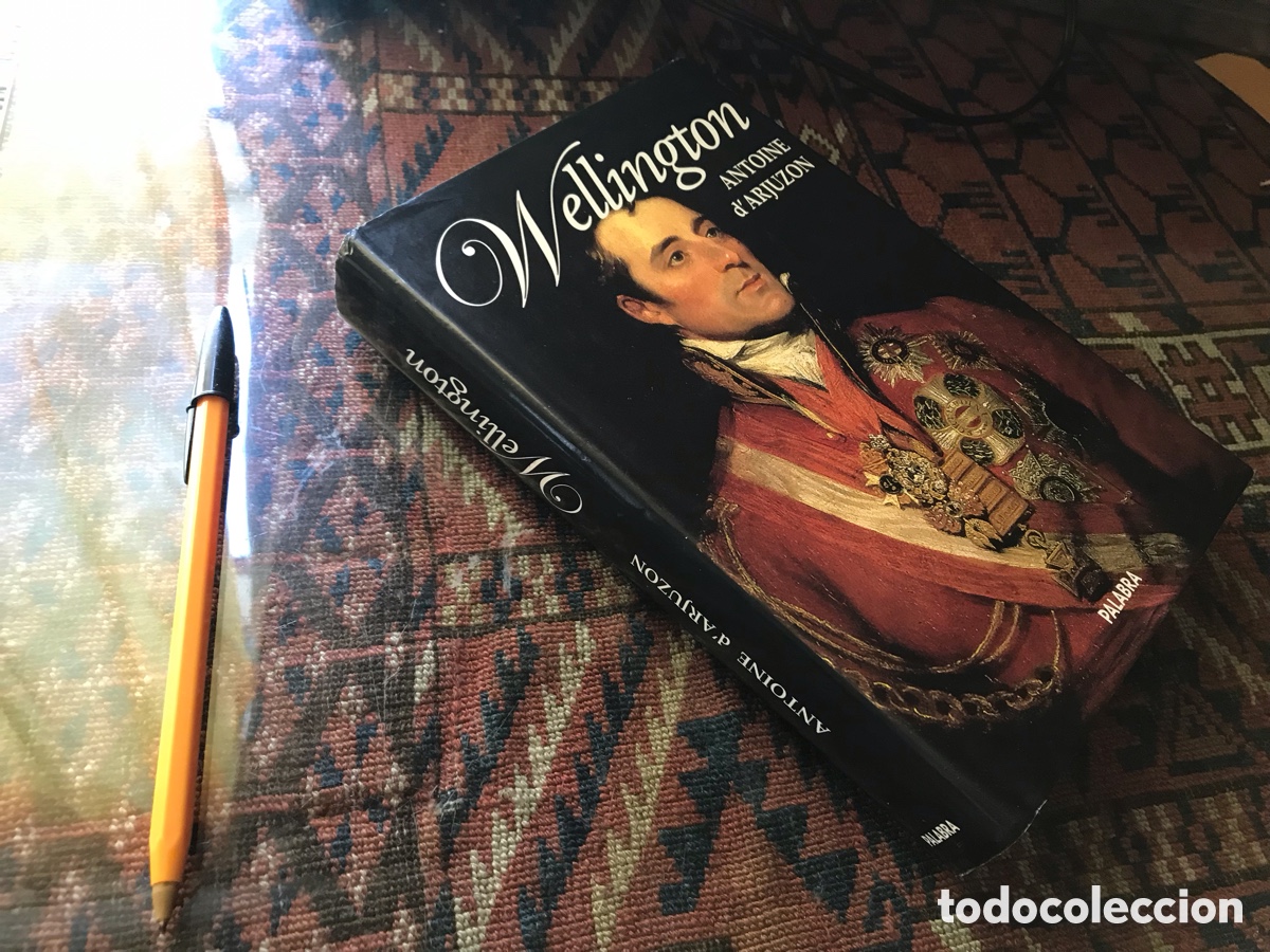 Libros de segunda mano: Wellington. Antoine d&rsquo;Arjuzon. Palabra