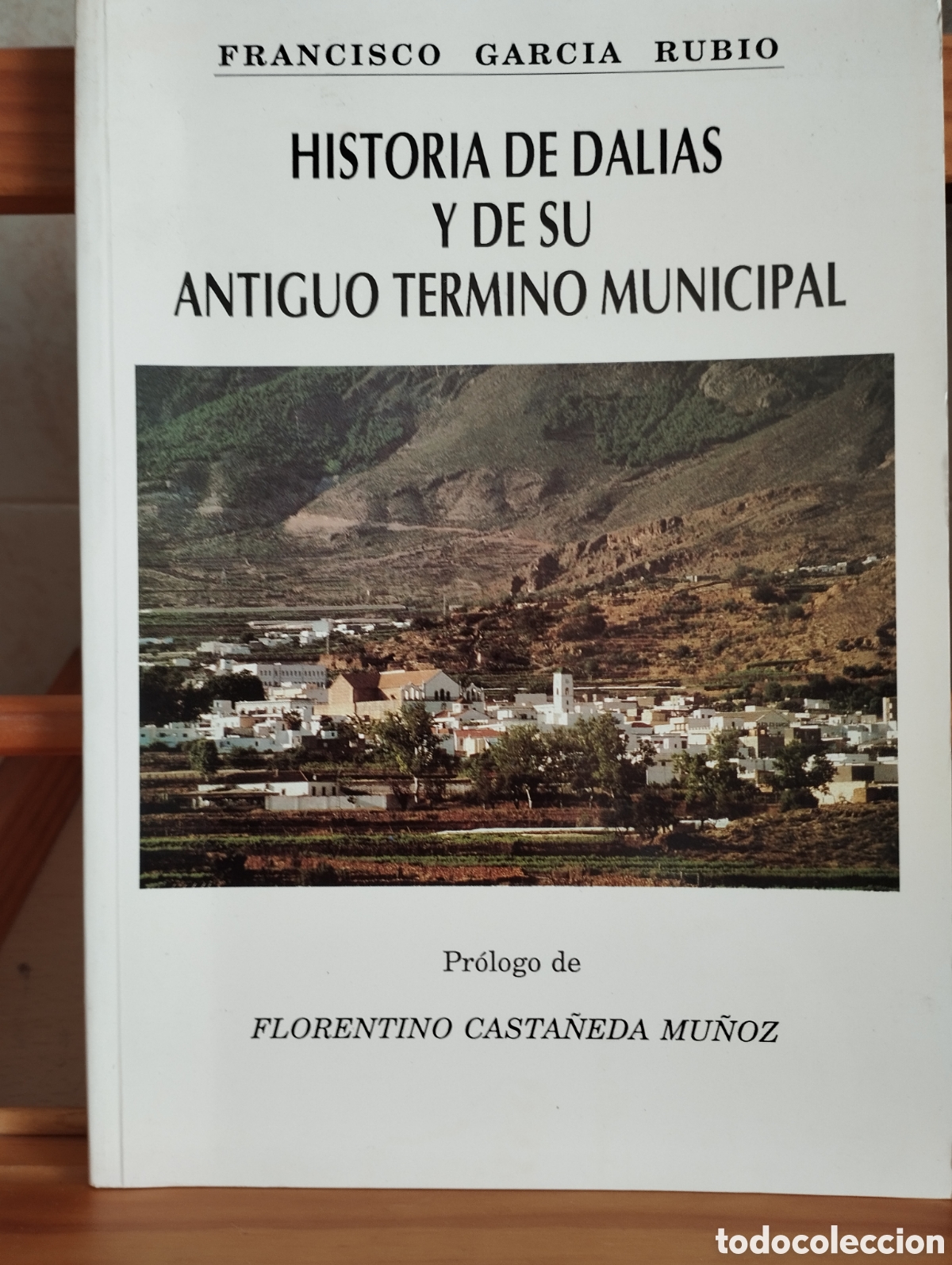 Libros de segunda mano: LIBRO HISTORIA DE DALIAS -ALMERIA - Y DE SU T&Eacute;RMINO MUNICIPAL