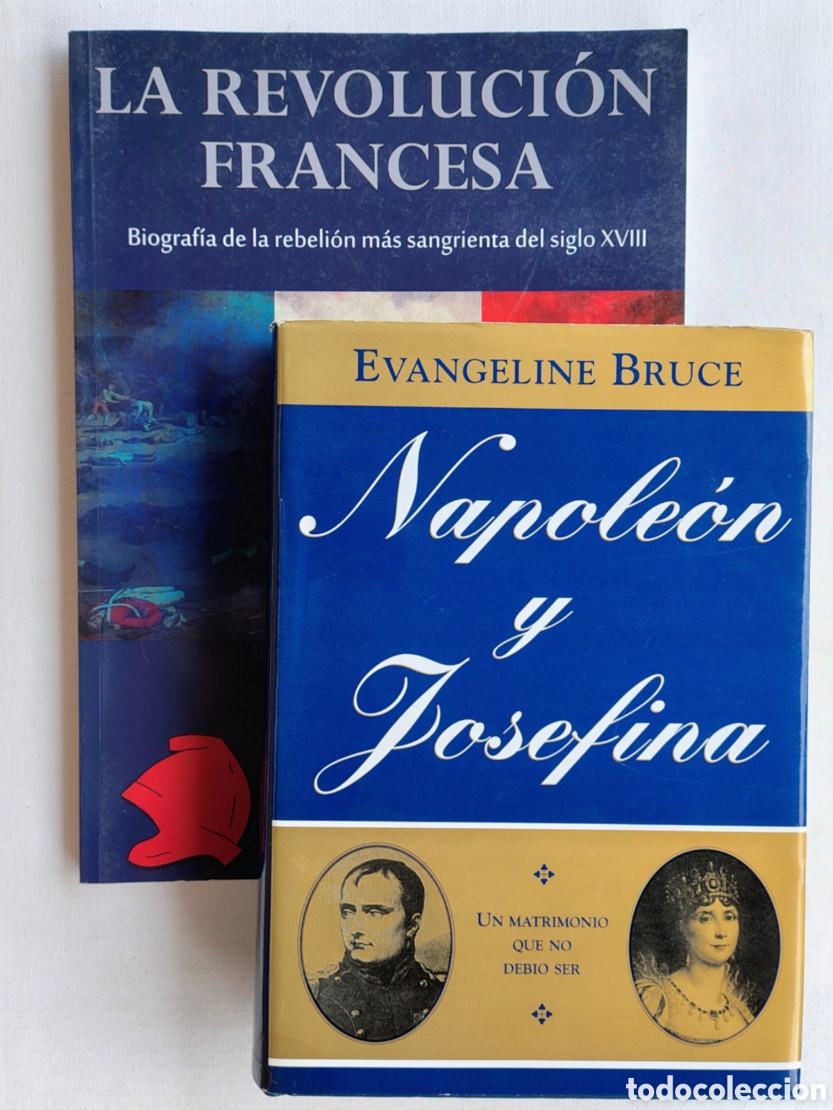 Libros de segunda mano: Lote 2 libros Napole&oacute;n y la Revoluci&oacute;n Francesa | Ediciones argentinas
