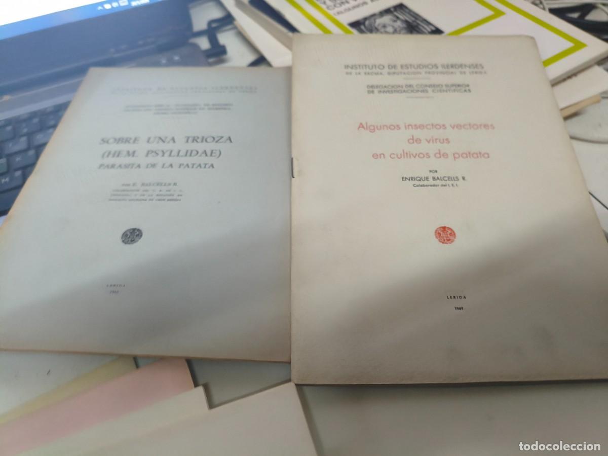 Libros de segunda mano: Sobre trioza parasita patata. E. Balcells R. Ilerdenses. Bon rep&ograve;s. Insectos Vectores.
