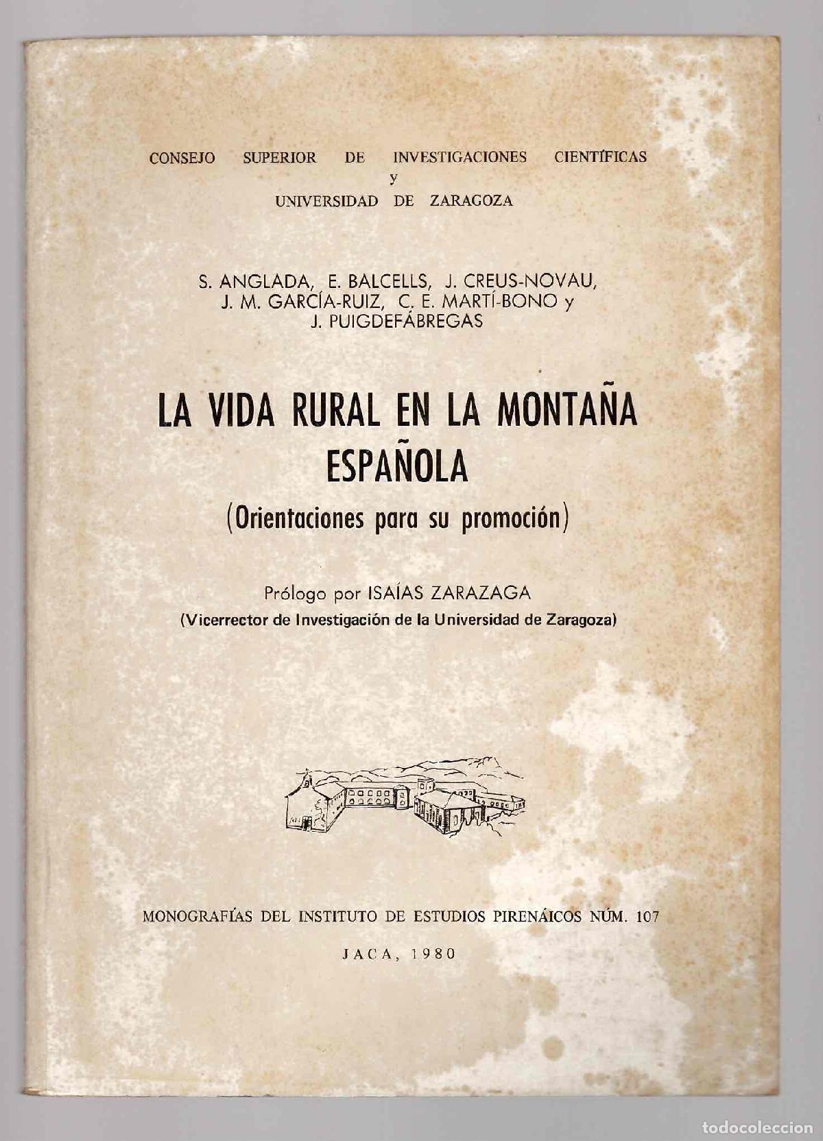 Libros de segunda mano: LA VIDA RURAL EN LA MONTA&Ntilde;A ESPA&Ntilde;OLA (ORIENTACIONES PARA SU PROMOCION). VARIOS AUTORES