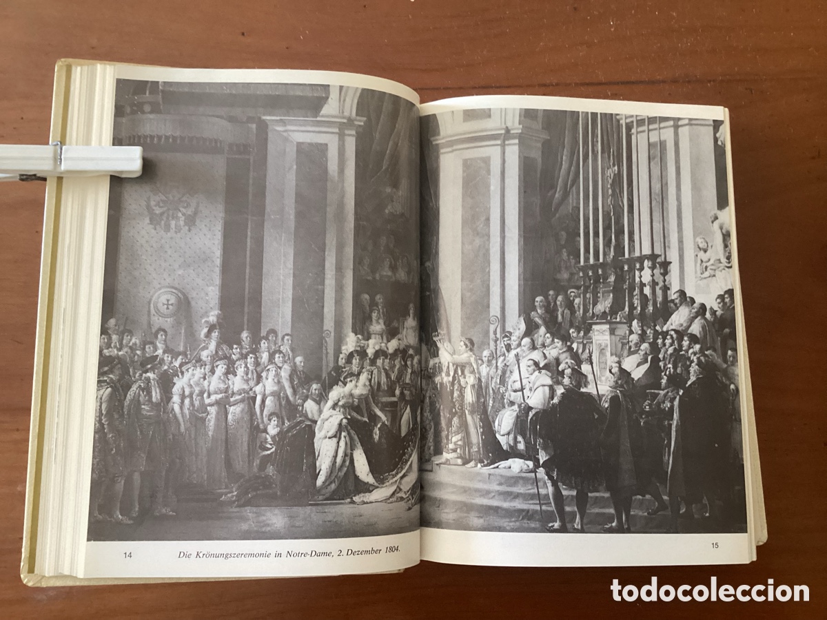 Libros de segunda mano: Die Gro&szlig;en Dynastien Europas, LOS BONAPARTE, J.P. Rioux , Edit. Rencontre Lausanne, 1969