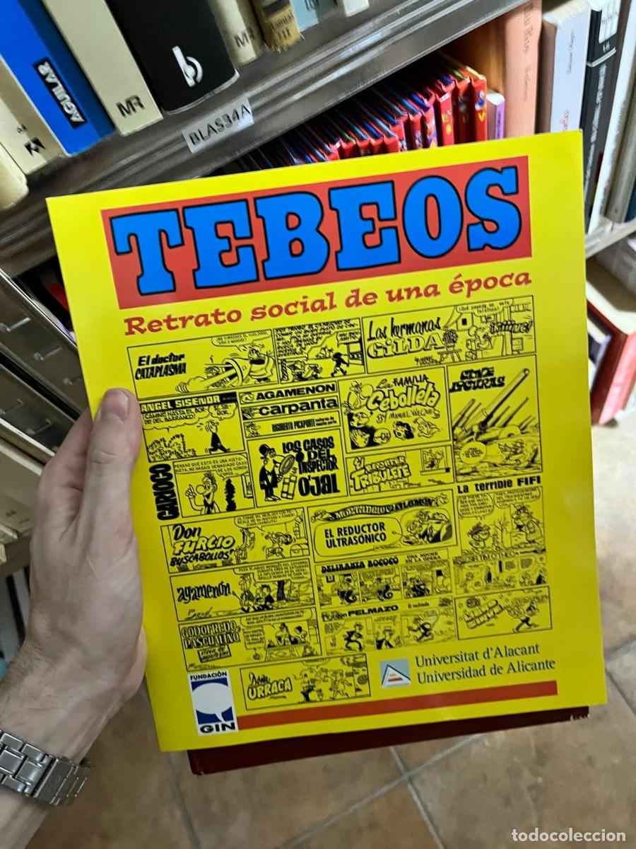 Libros de segunda mano: BLAS34A Tebeos: Retrato social de una &eacute;poca. Universitat d'Alacant / Fundaci&oacute;n Gin. Historia del c&oacute;m