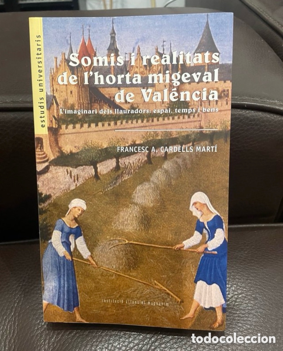 Libros de segunda mano: Somis i realitats de l&rsquo;horta migeval de Val&eacute;ncia