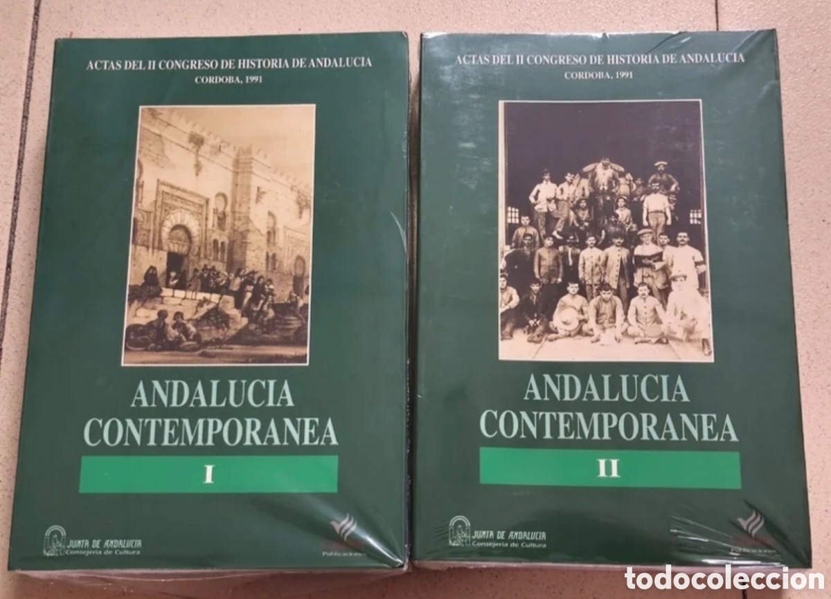 Libros de segunda mano: Andalucia Contempor&aacute;nea 2 tomos.