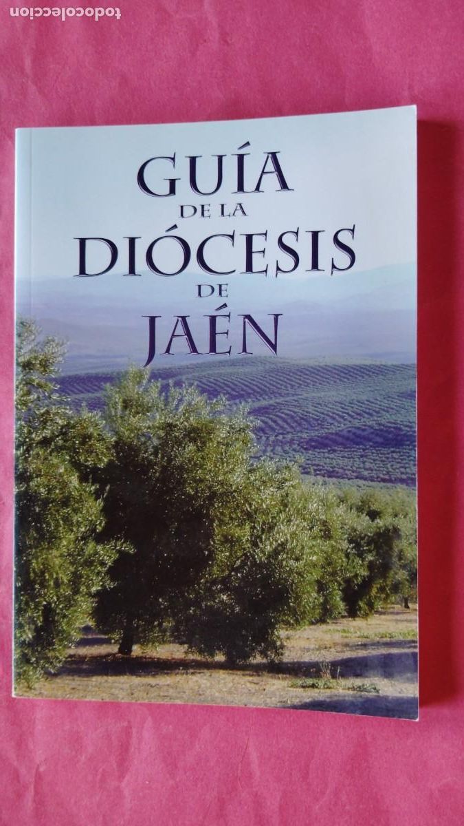 Libros de segunda mano: GUIA DE LA DIOCESIS DE JAEN.-D. RAMON DEL HOYO LOPEZ.-OBISPO DIOCESANO.-JAEN.-A&Ntilde;O 2012.