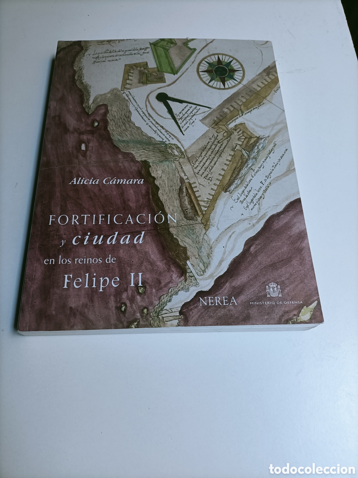 Libri di seconda mano: Fortificaci&oacute;n y ciudad en los reinos de Felipe II Alicia c&aacute;mara