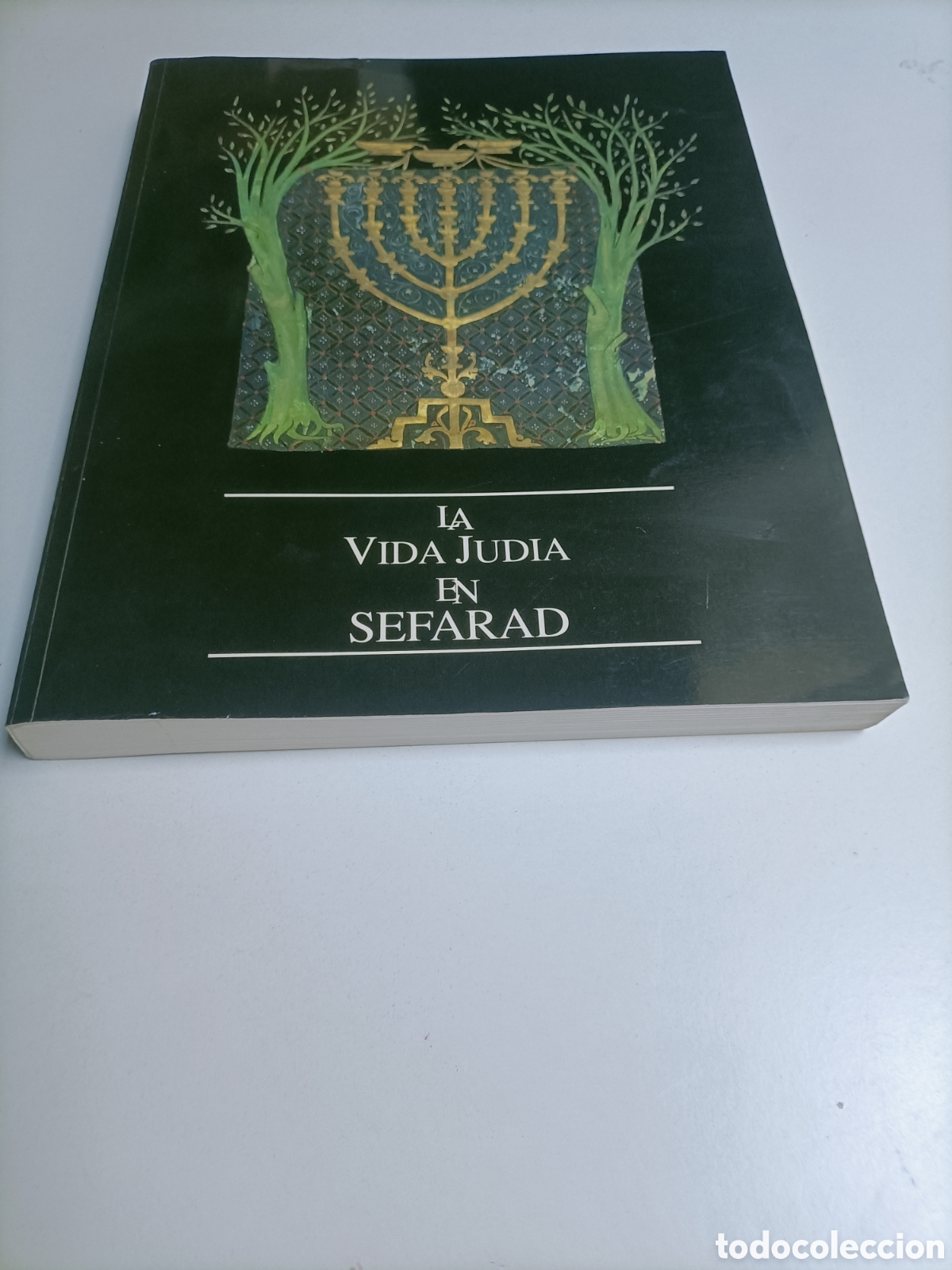 Livres d'occasion: La vida jud&iacute;a en Sefarad. Sinagoga del Tr&aacute;nsito Toledo 1992