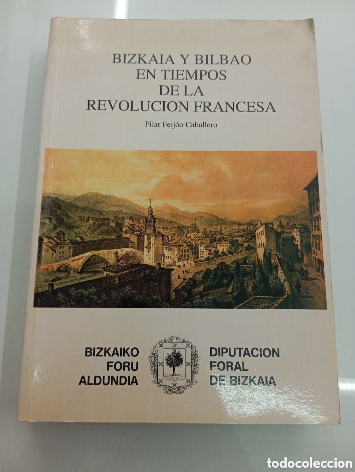 Libros de segunda mano: BIZKAIA Y BILBAO EN TIEMPOS DE LA REVOLUCION FRANCESA PILAR FEIJ&Oacute;O CABALLERO BIZKAIA PAIS VASCO