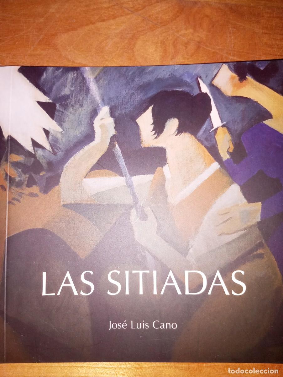 Libros de segunda mano: LAS SITIADAS, UN REPASO A LAS MUJERES DE LA GUERRA DE LA INDEPENDENCIA. JOS&Eacute; LUIS CANO