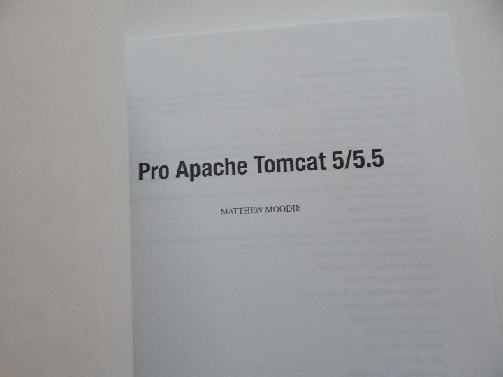 Libros de segunda mano: Pro Apache Tomcat 5/5.5 - Matthew Moodie - Foto 3