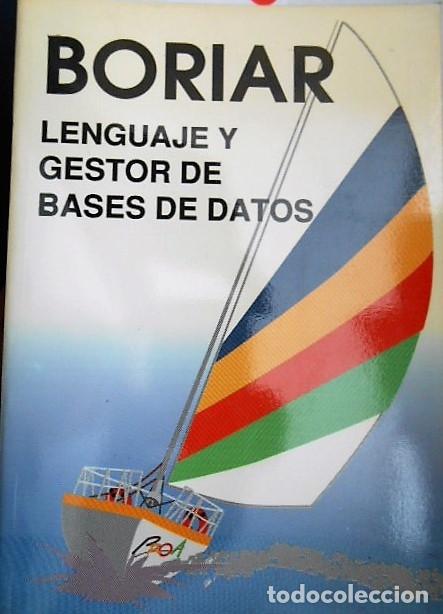 Libros de segunda mano: BORIAR. LENGUAJE Y GESTOR DE BASES DE DATOS. PROA 1991 - Foto 1