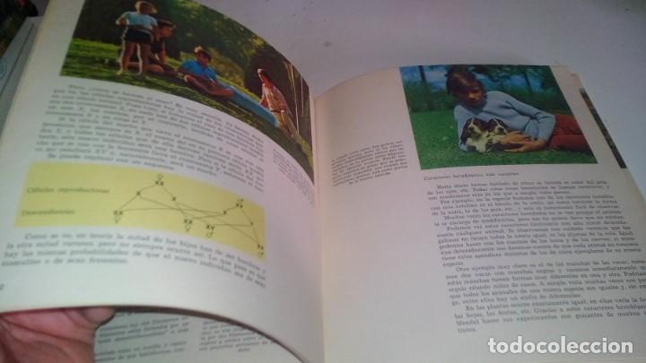 Libros de segunda mano: manual imprescindible internet	/	anaya	/	edicion2002	/	cj131 - Foto 19