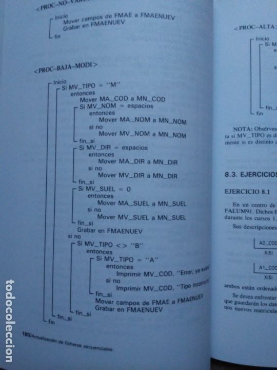 Libros de segunda mano: Metodolog&iacute;a de la programaci&oacute;n: Programaci&oacute;n estructurada M Dolores Alonso Silvia Rumeu - Foto 22