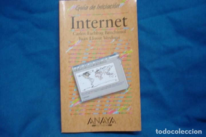 Libros de segunda mano: INTERNET - GUIA DE INICIACI&Oacute;N - ED ANAYA 1996 - Foto 1