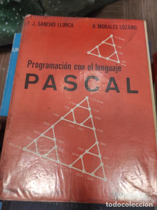 Libros de segunda mano: PROGRAMACION CON EL LENGUAJE PASCAL - F. SANCHIS LLORCA - A. MORALES LOZANO - PARANINFO - - Foto 1