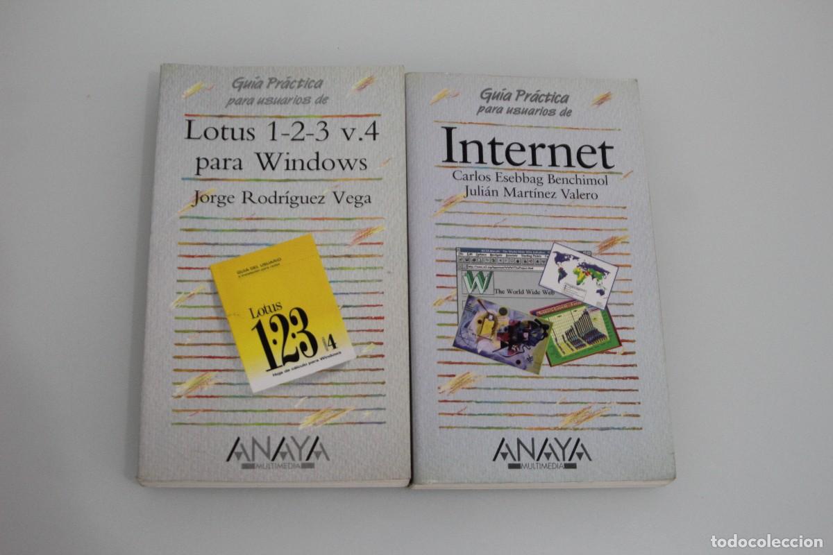 Libros de segunda mano: 2 GU&Iacute;AS PRACTICAS DE INFORM&Aacute;TICA ANAYA - Foto 1