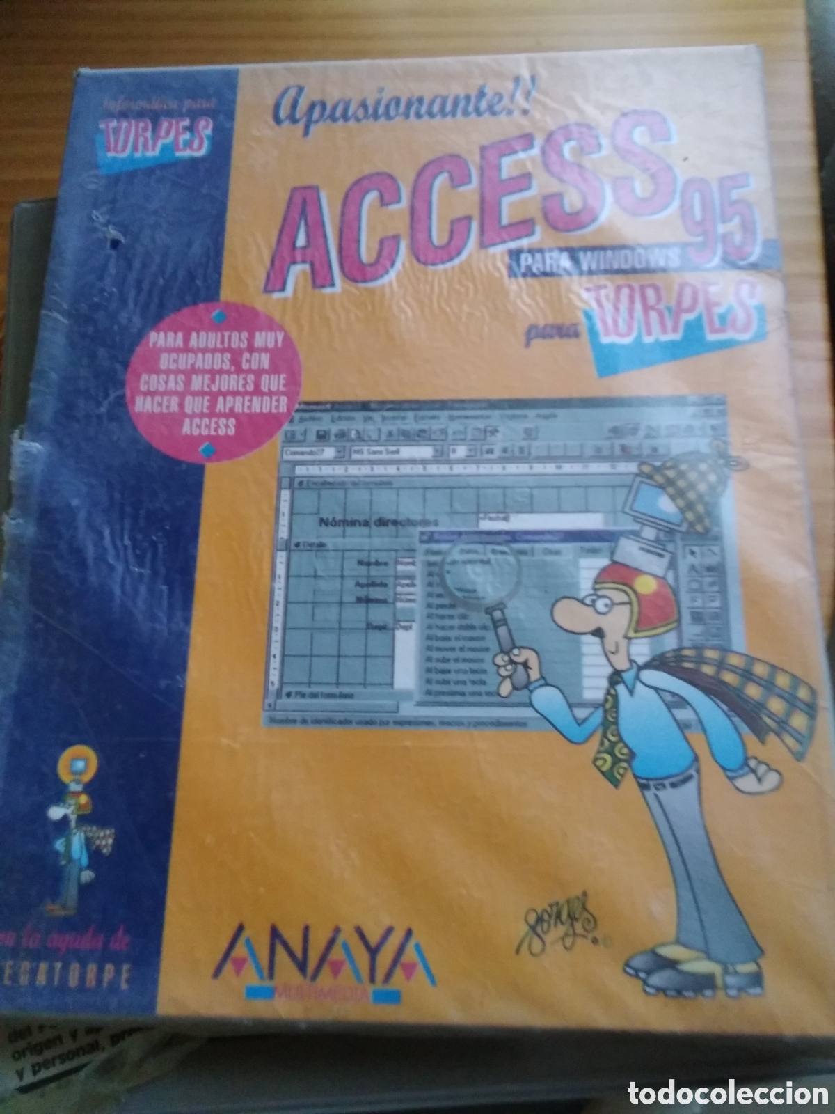 Libros de segunda mano: Access para Windows 95 para torpes edita anaya - Foto 1